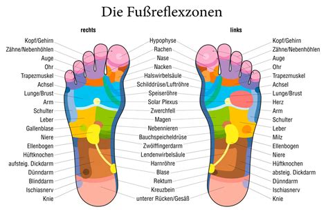 Vom Tellerwäscher zum Millionär